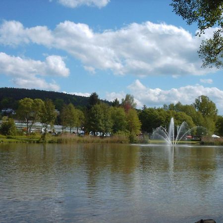 Hotel Irene Bad König Екстериор снимка