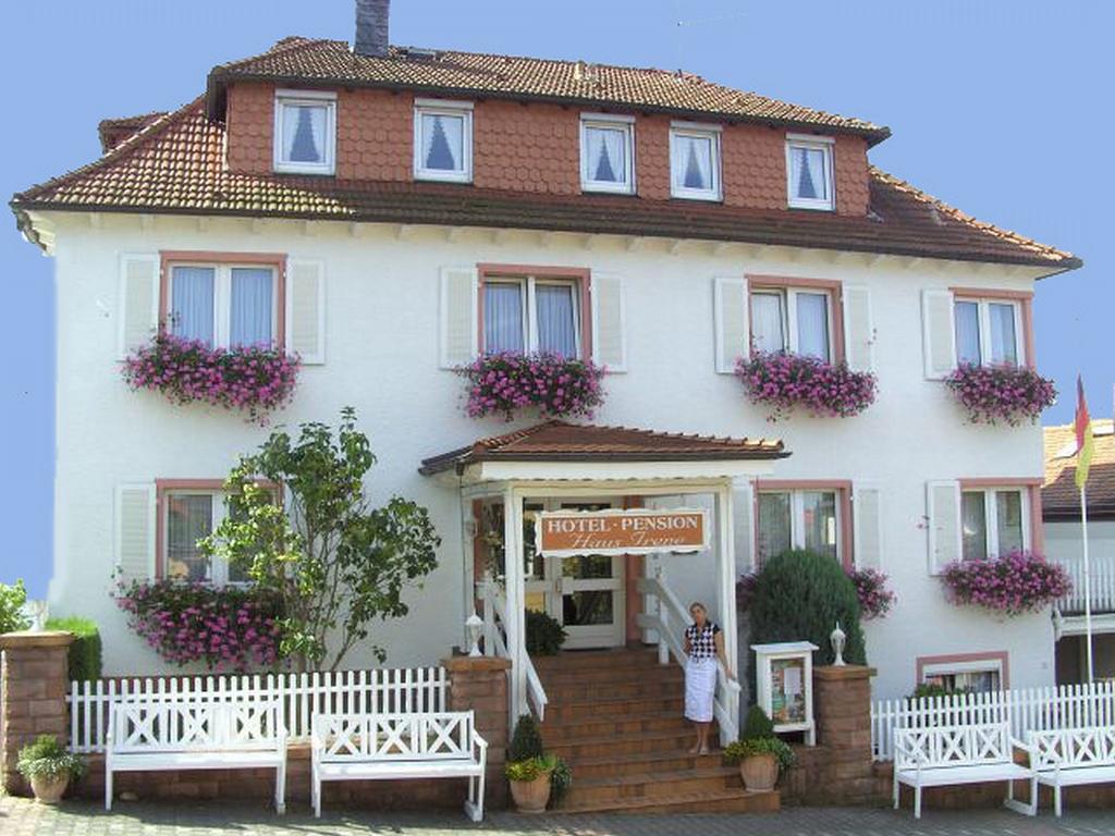 Hotel Irene Bad König Екстериор снимка