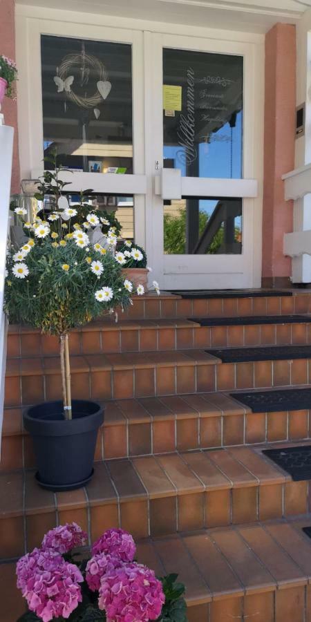 Hotel Irene Bad König Екстериор снимка