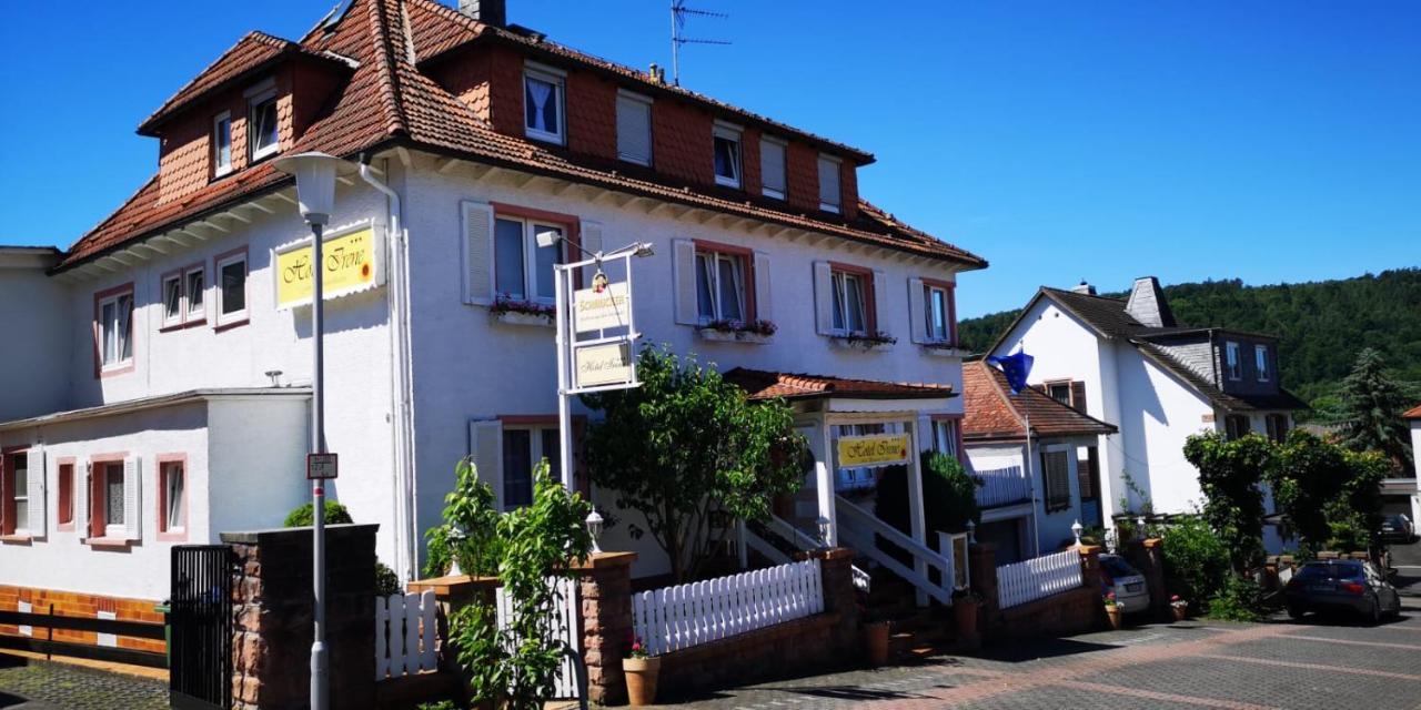 Hotel Irene Bad König Екстериор снимка